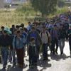 Kontejneri za migrante u Subotici i Kanjiži.