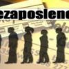 Lokalni mediji za prava Roma-Zapošljavanje Roma