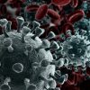 Prevencija taro Corona Virus.
