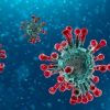Šta nam poručuju ljudi koji su preležali Korona virus?