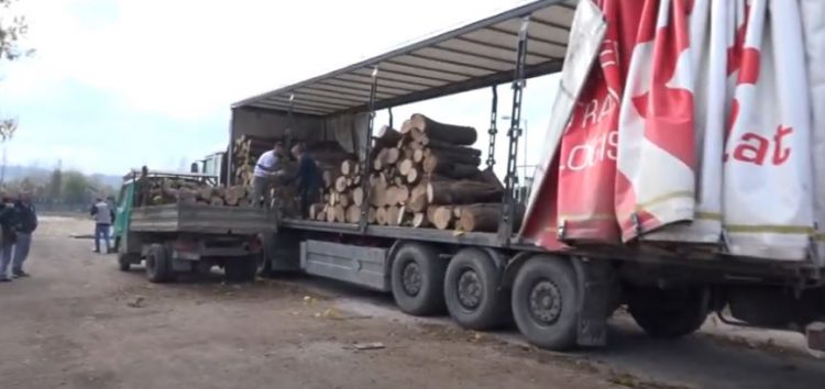 HELP i LIGA ROMA podelili oko 2500m3 ogrevnog drveta